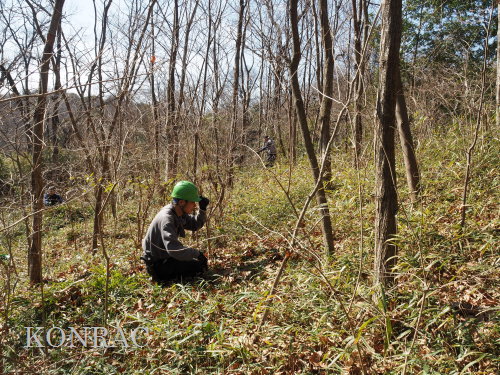 ���R��y��