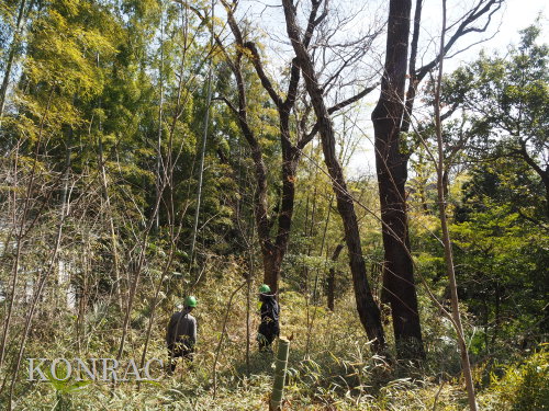 ���R��y��