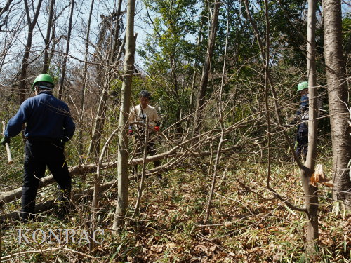 ���R��y��