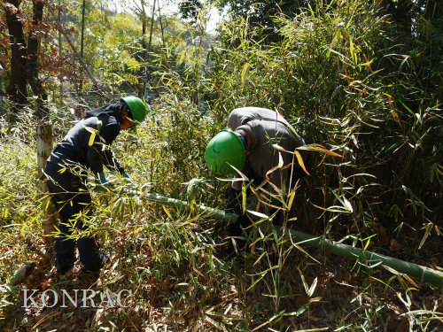 ���R��y��