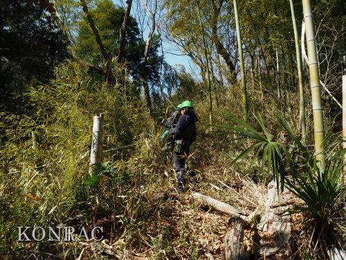 ���R��y��