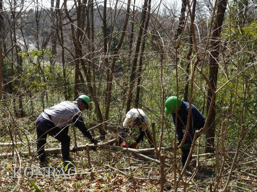 ���R��y��