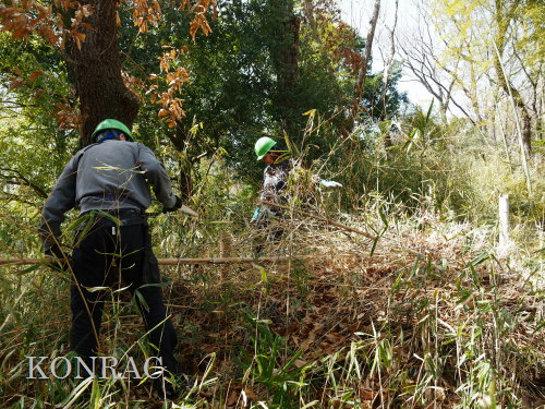 ���R��y��