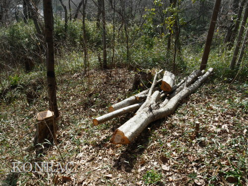 ���R��y��