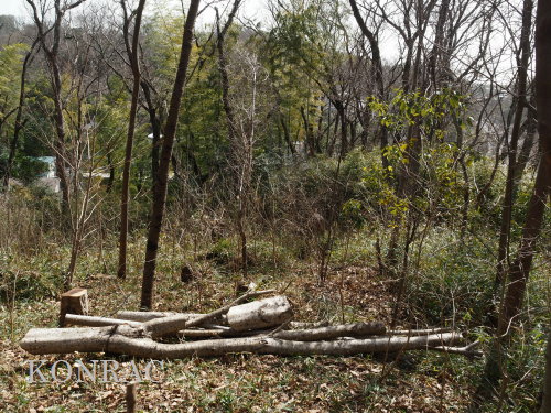 ���R��y��