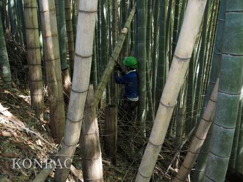 ���R��y��