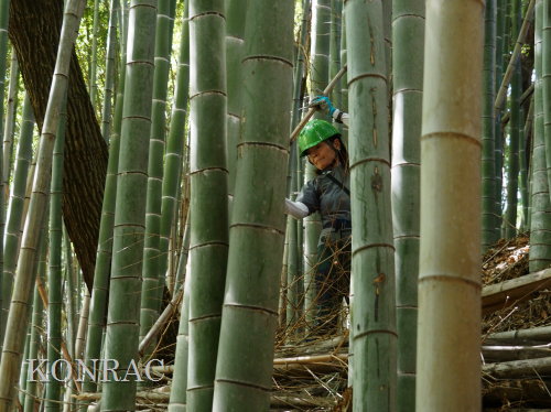 ���R��y��