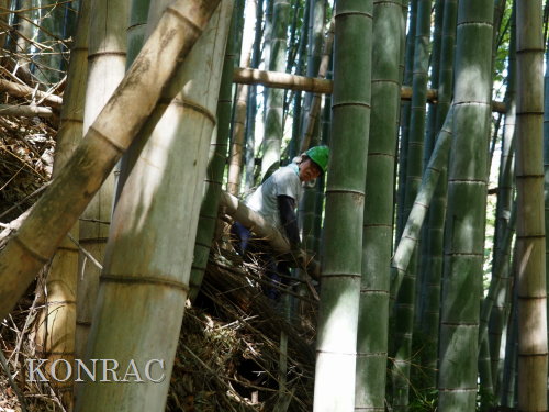 ���R��y��