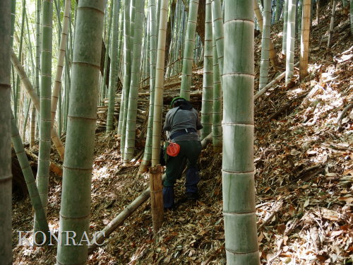 ���R��y��