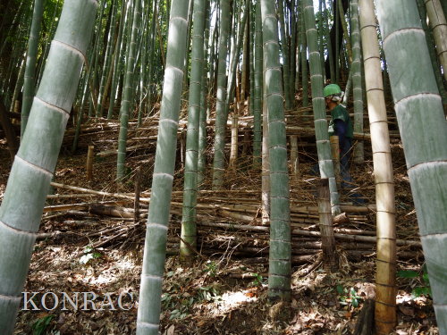 ���R��y��