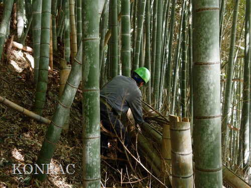 ���R��y��