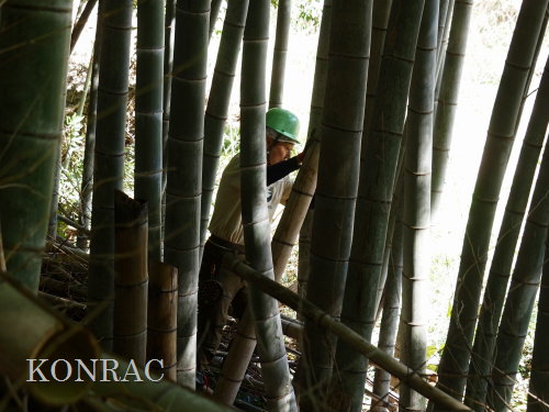 ���R��y��