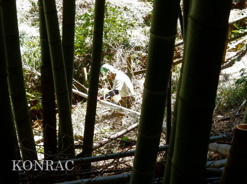 ���R��y��