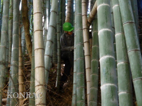 ���R��y��