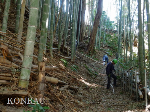 ���R��y��