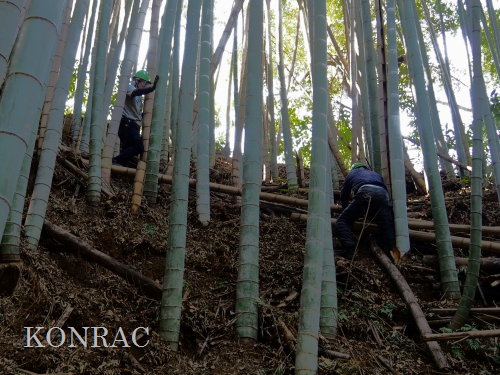 ���R��y��