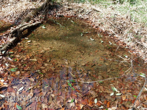 �A�Y�}�q�L�K�G������