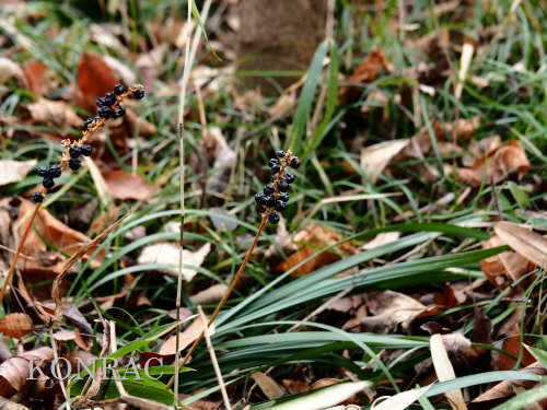 ���u����